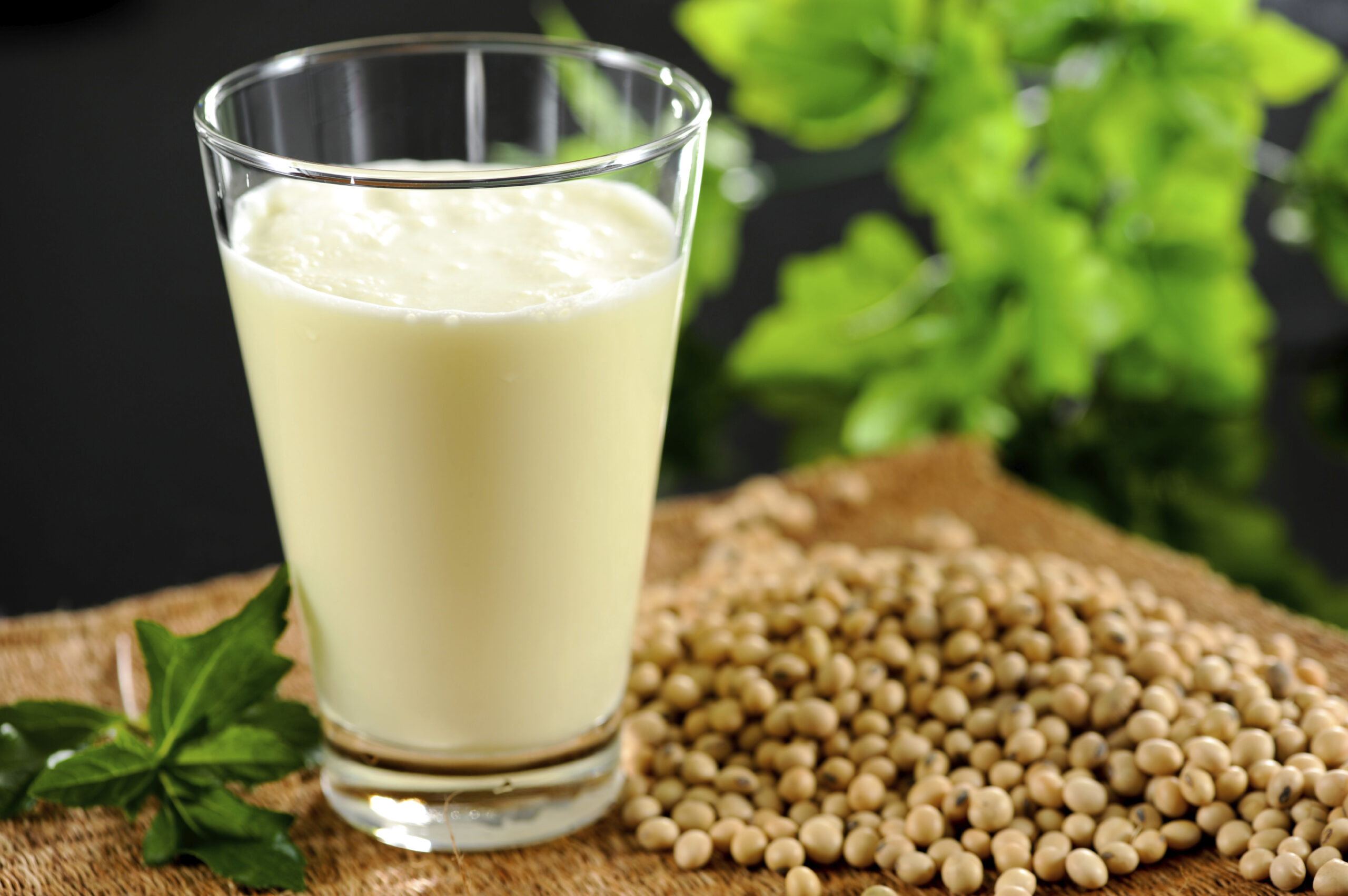 Uống sữa đậu nành thường xuyên có tốt không?